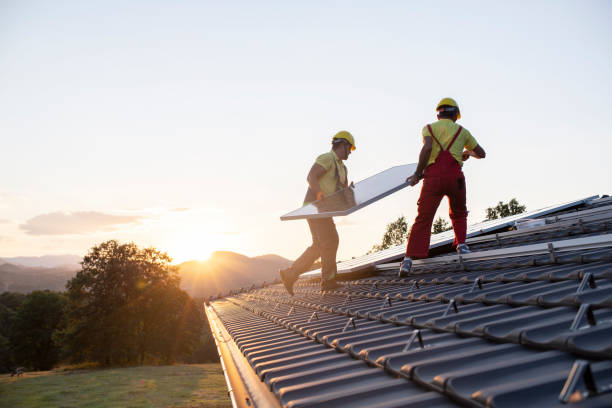 Best Roof Moss and Algae Removal  in La Marque, TX