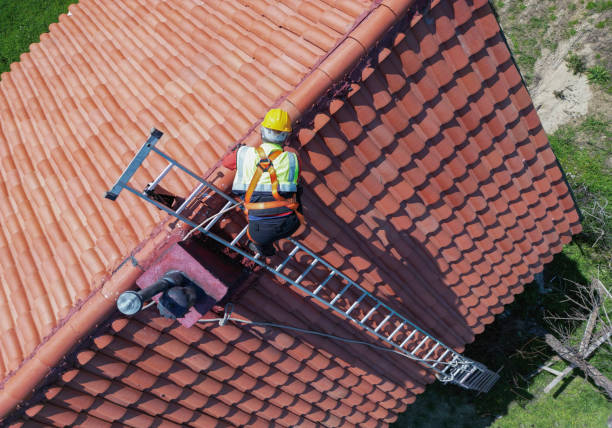 Best Asphalt Shingle Roofing  in La Marque, TX